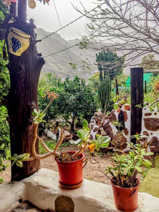 Villa Tamadaba อากาเอเต ภายนอก รูปภาพ